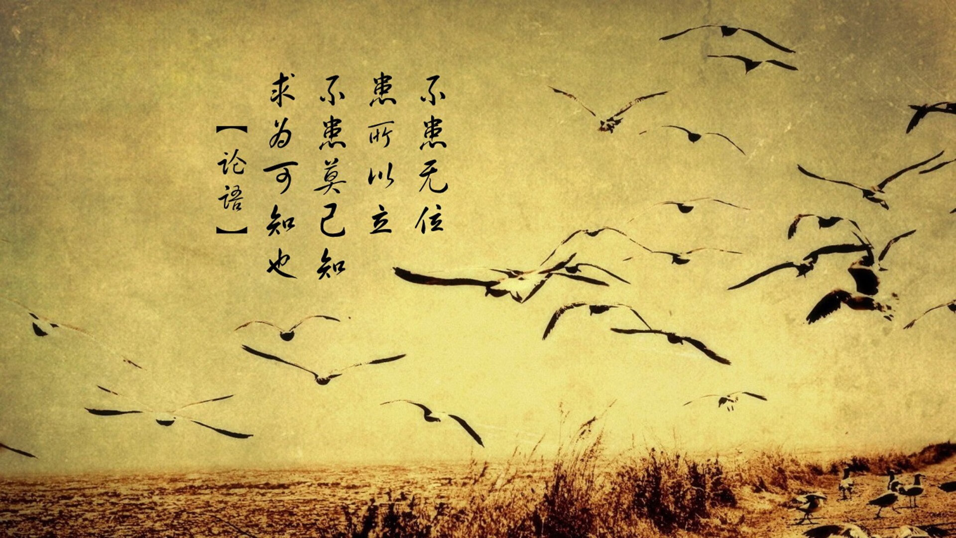 九游网页版官网-自行车耐力赛乌鲁木齐站：高原逆风挑战极限，耐力型公路车慢吗