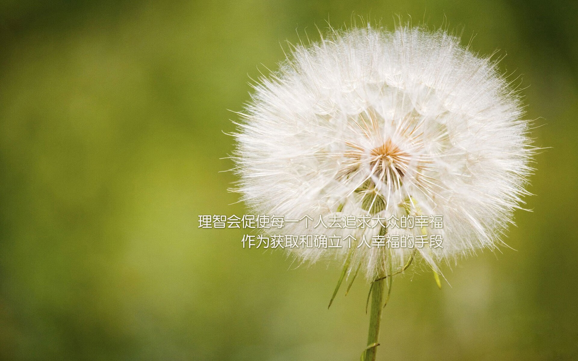 中国篮球联赛裁判员职业培训体系建设，2020篮球裁判培训