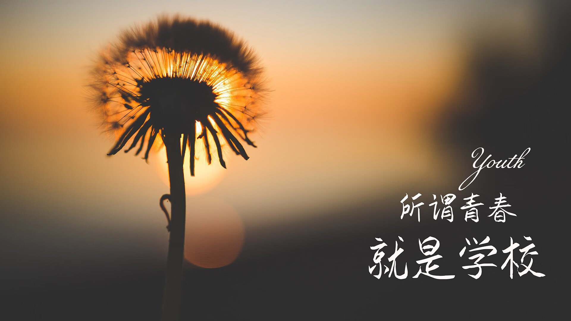 “快艇冲浪激战东三叉湖，速度与激情并存”