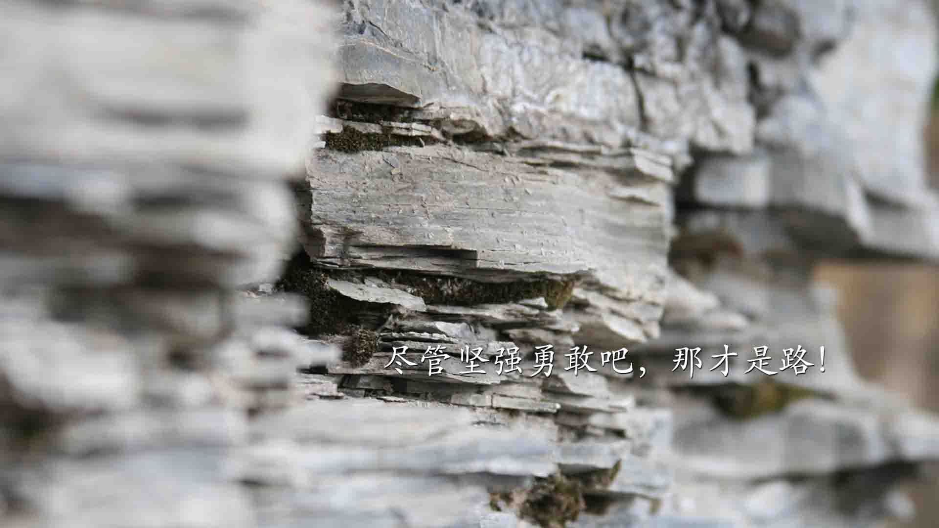 Jiuyou-加拿大队赛制分析：如何通过赛制安排提升技术稳定性，加拿大队阵容