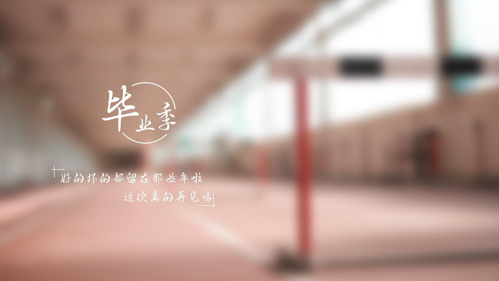 国家队集训后防调整更注重整体协作与补位速度,国家集训队和国家队区别