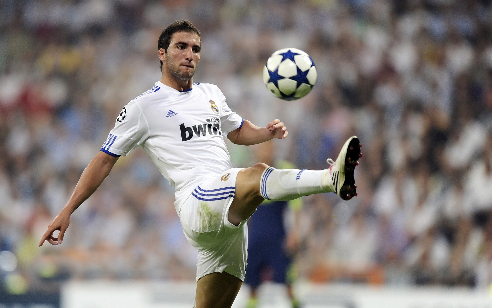 “赛场花絮：运动员的场下趣味生活”，比赛场上的运动员